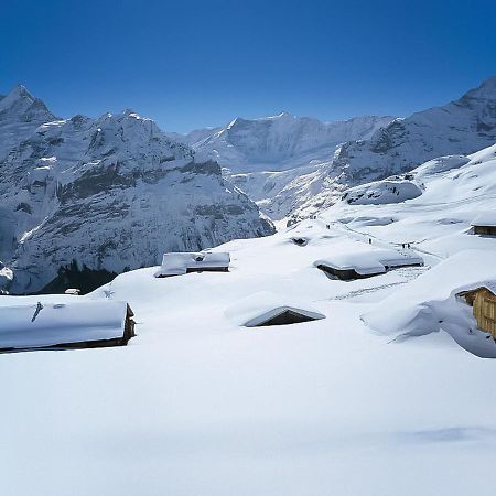 Apartment Chalet Baergsunna-1 By Interhome Grindelwald Buitenkant foto