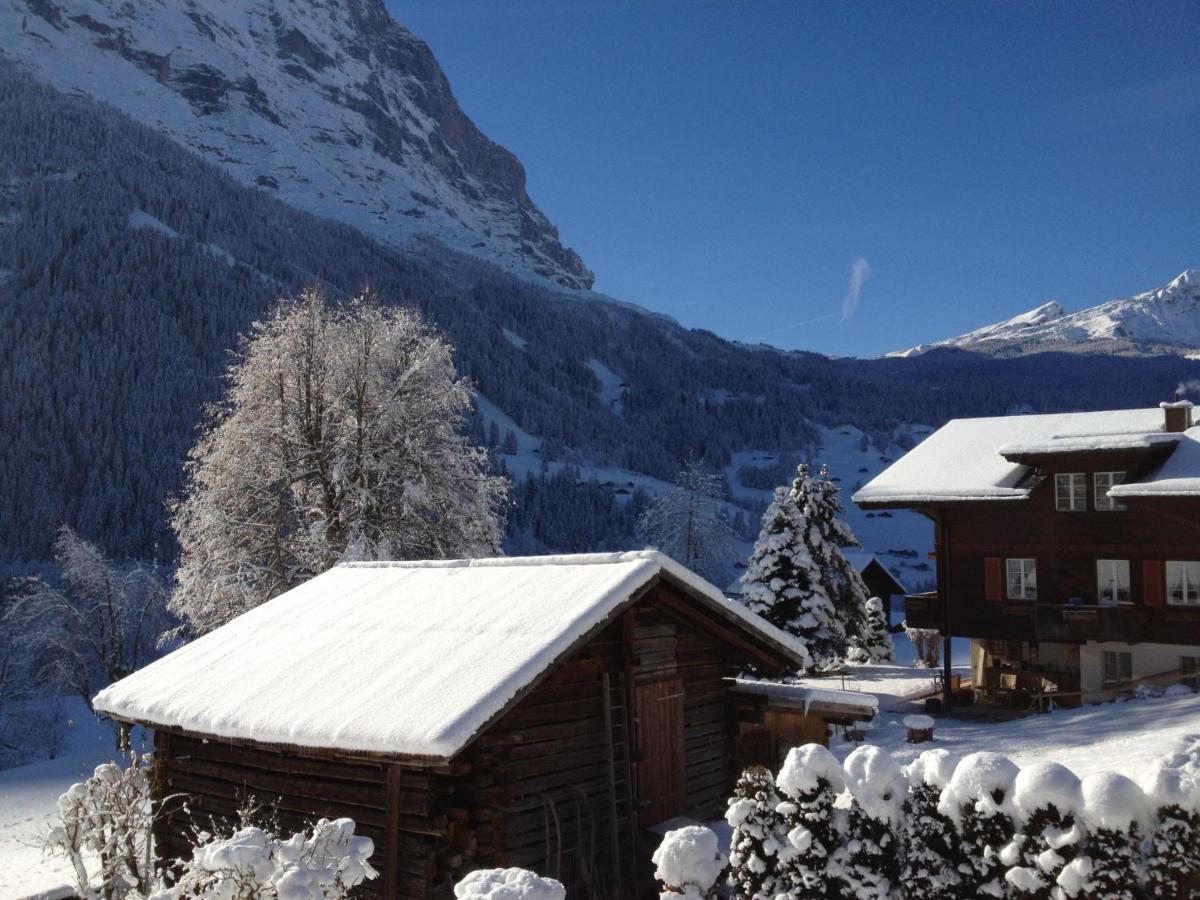 Apartment Chalet Baergsunna-1 By Interhome Grindelwald Buitenkant foto
