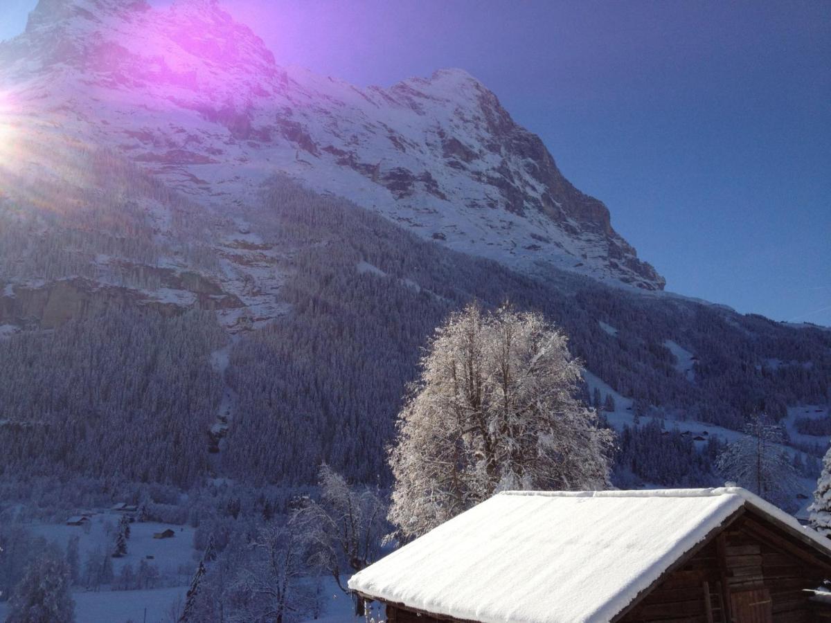 Apartment Chalet Baergsunna-1 By Interhome Grindelwald Buitenkant foto